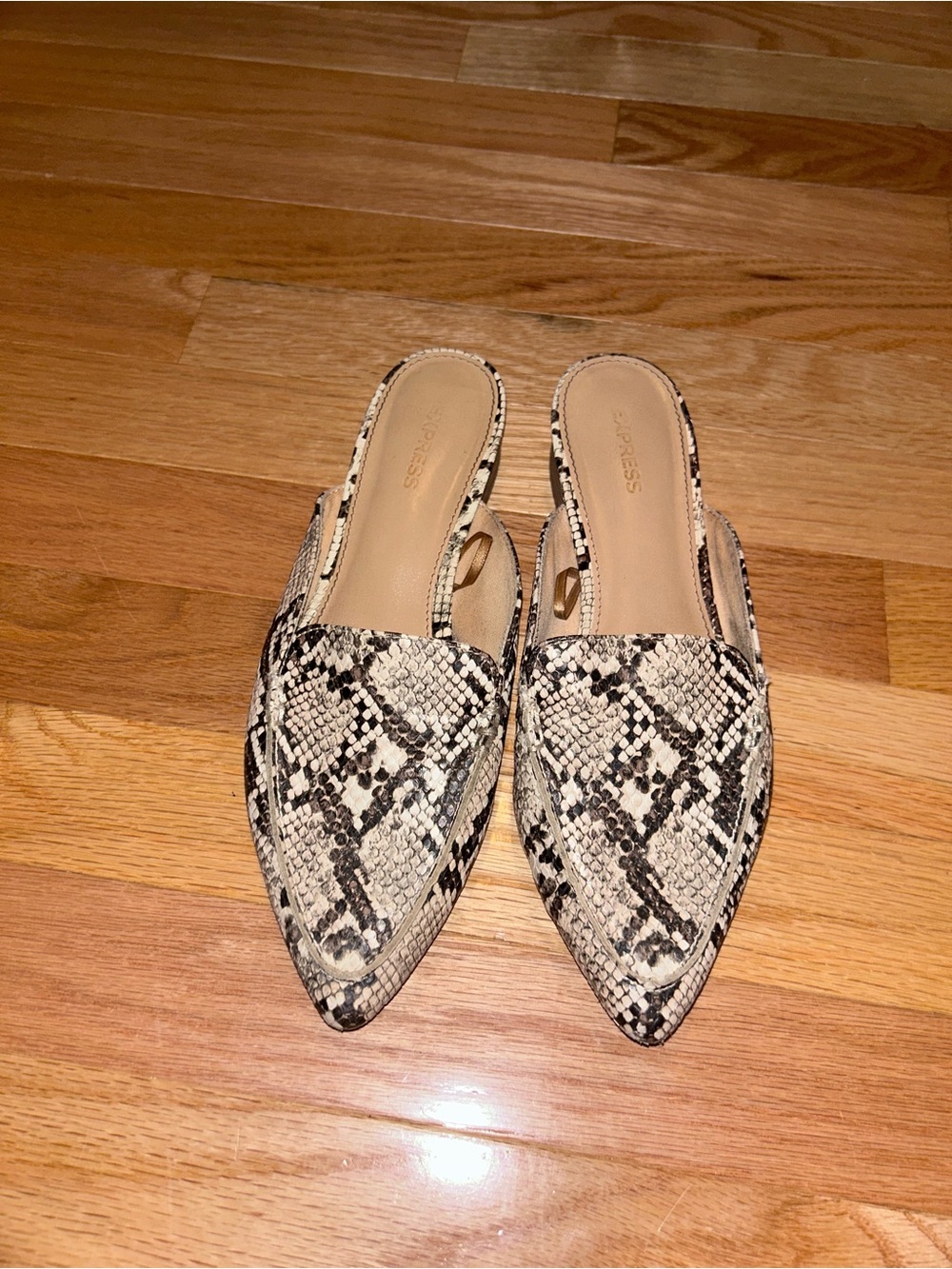 Express Snake-Print Pointed Slip-On Mules in Beige and Black